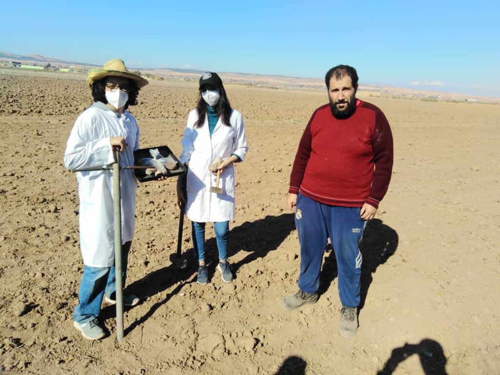 Experiment arable system. SETIF Sowing 2