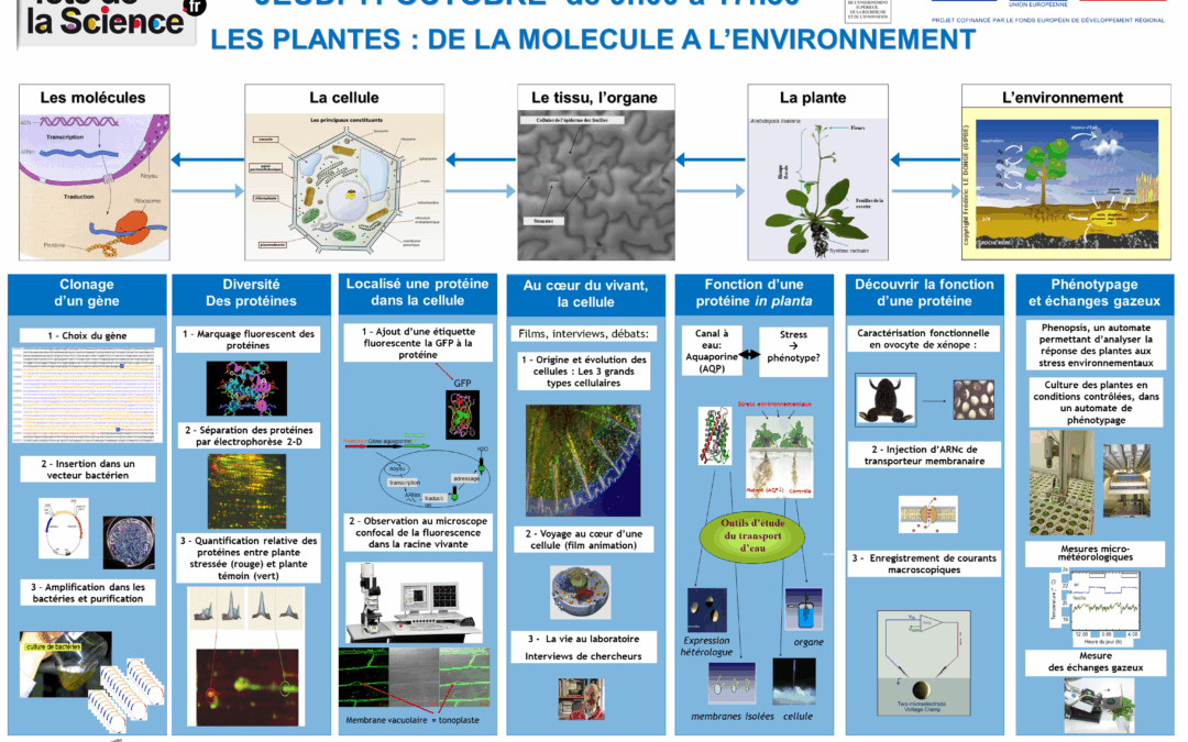 Fête de la Science