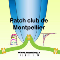 Journée du Patch Club