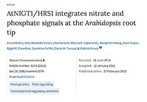 Nutrient sensing by plants : new insights for nitrate and phosphate