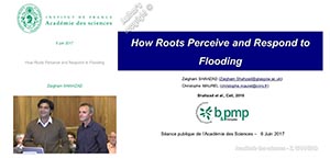 Cell 2016 (Sept 7 1016)