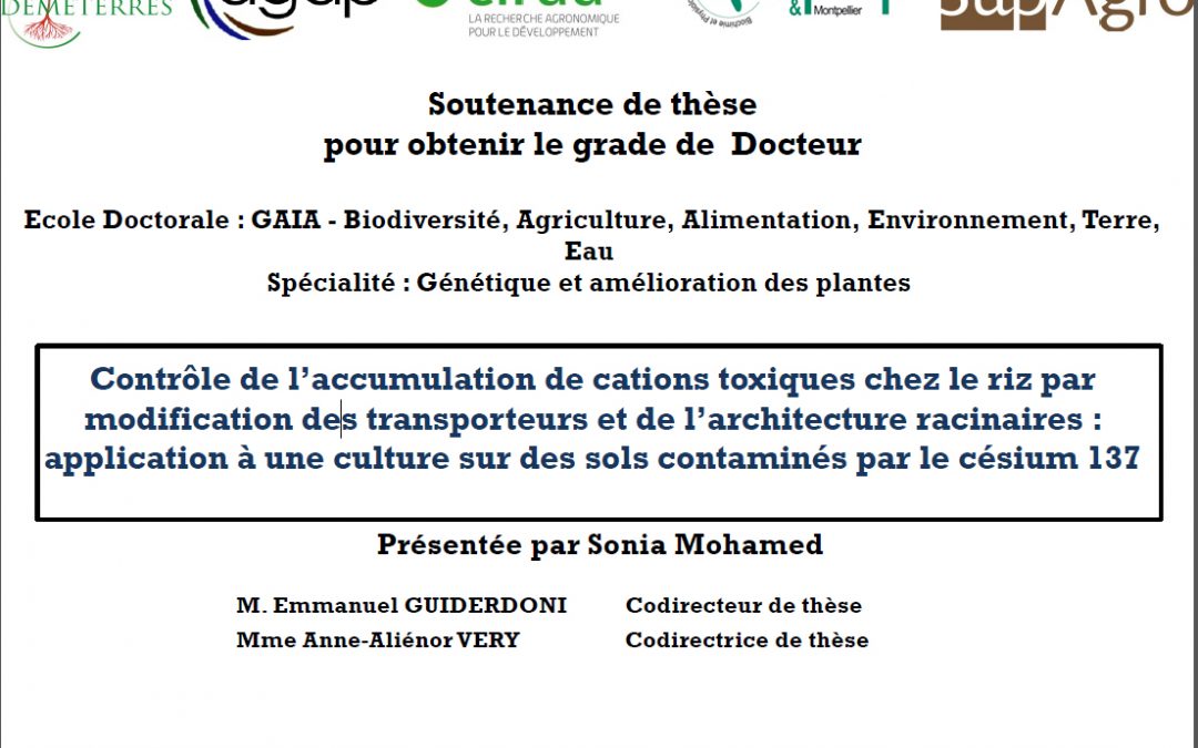 Thèse soutenue par Sonia Mohamed