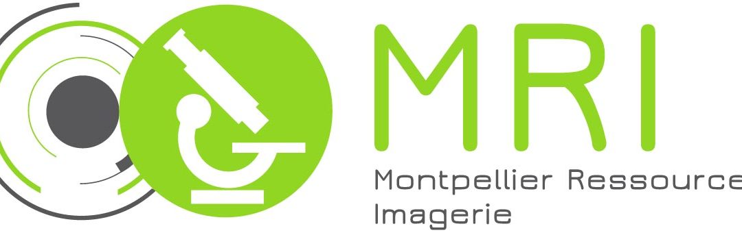 Journée Imagerie MRI