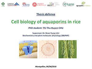 Thèse soutenue par Thi Thu Huyen Chu