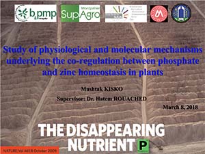 Thèse soutenue par Mushtak Kisko