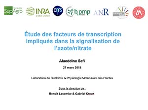 Thèse soutenue par Alaeddine Safi