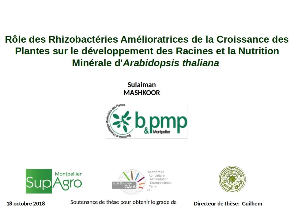 Thèse soutenue par Sulaiman Mashkoor