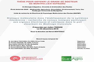 Thèse soutenue par Julien Thouin