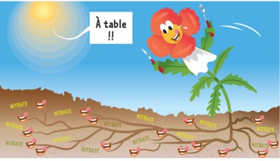MT180 – Valentin Chaput en finale