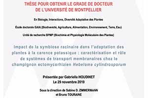 Soutenance de thèse : Gabriella Houdinet