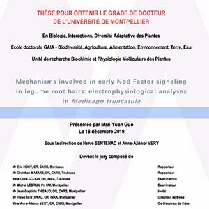 Soutenance de thèse : Man Yuan Guo