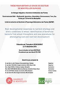 Soutenance de thèse : Thanyakorn Rongsawat