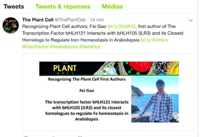 The Transcription Factor bHLH121 Interacts with bHLH105 (ILR3) and its Closest Homologs to Regulate Iron Homeostasis in Arabidopsis