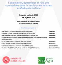 Thèse soutenue par Kévin Robe