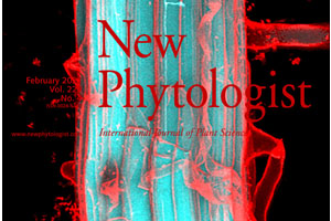 Coumarin accumulation and trafficking in Arabidopsis thaliana: a complex and dynamic process