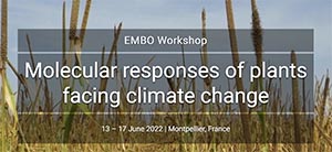 EMBO workshop “Molecular responses of plants facing climate change”