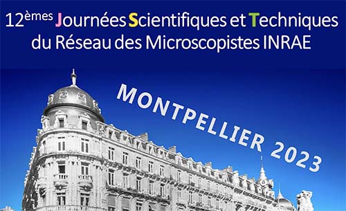 12ème Journée Scientifiques et Techniques du Réseau des Microscopistes INRAE