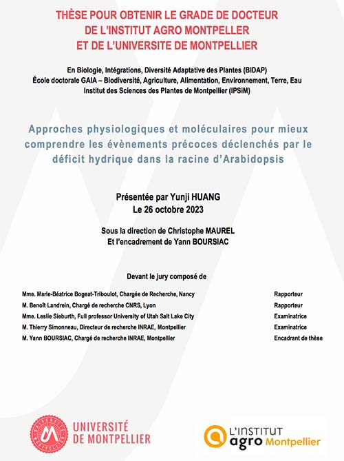 Thèse soutenue par Yunji Huang