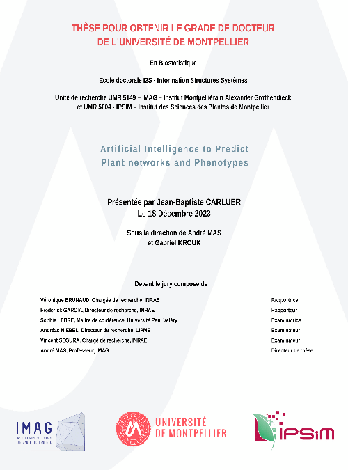 Thèse soutenue par Jean-Baptiste Carluer