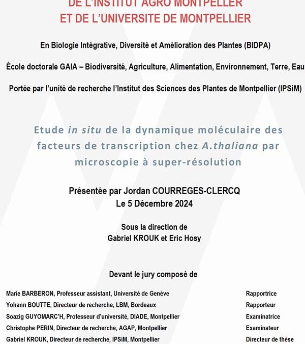 thèse soutenue par Jordan COURREGES-CLERCQ