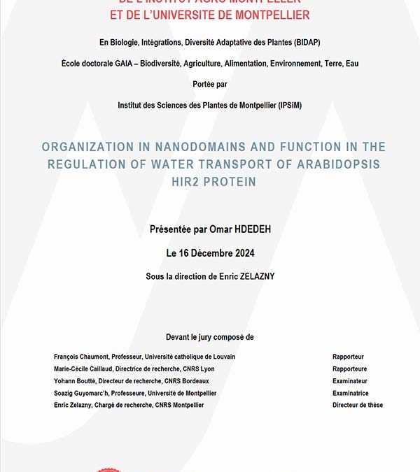 Thèse soutenue par  Omar Hdedeh