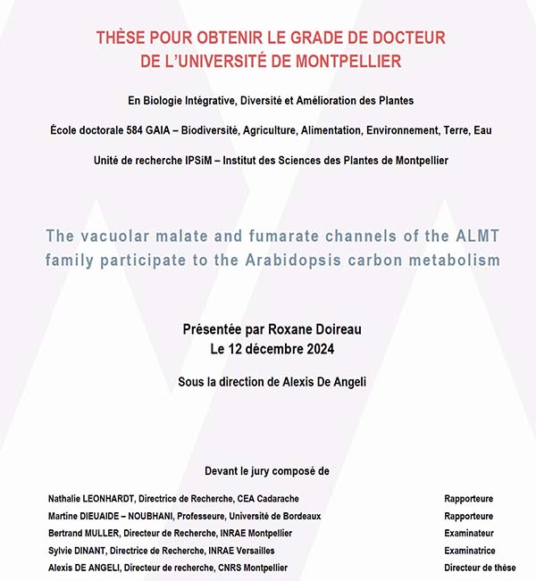 Thèse soutenue par Roxane Doireau