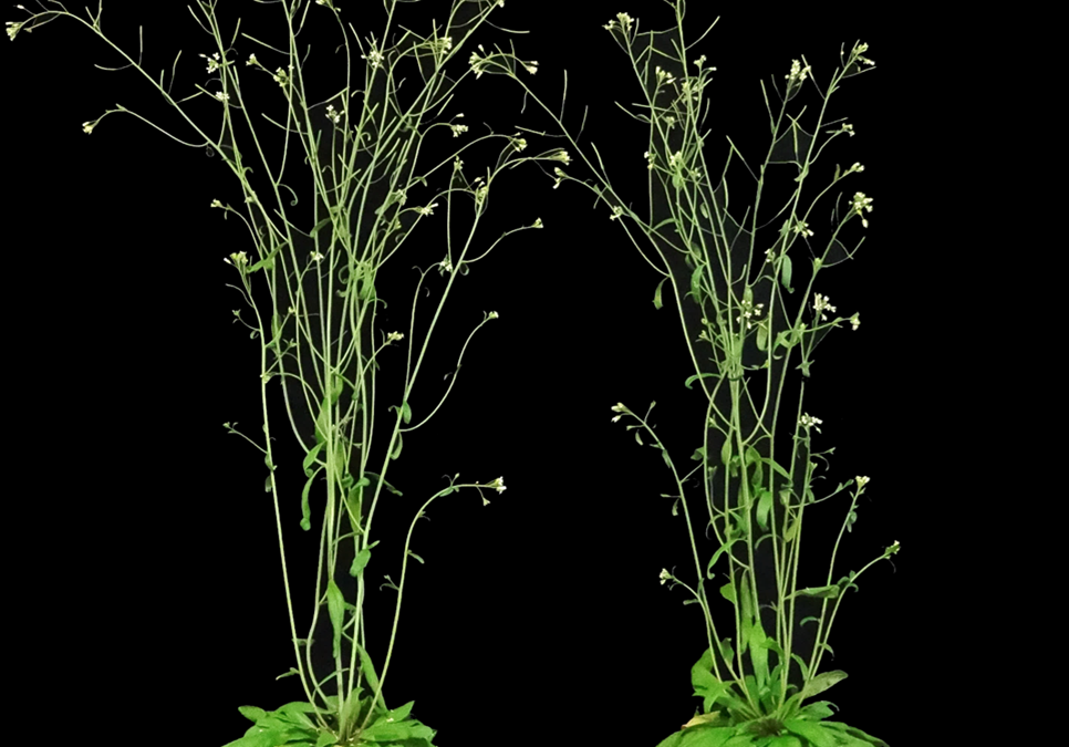 Soutenance d’HDR : François Barbier