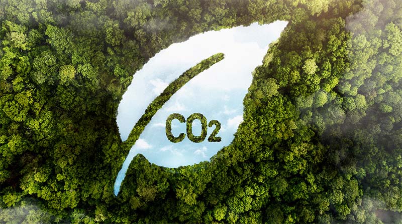 Les plantes dans un environnement à fort CO2 : contraintes et opportunités
