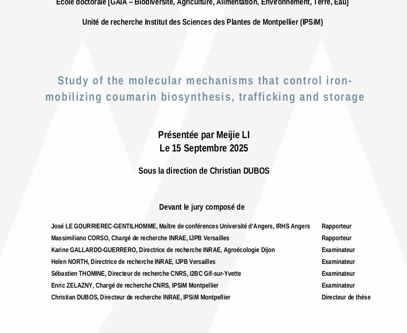 Soutenance de thèse de Meijie Li