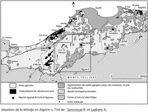 situation Mitidja Algérie